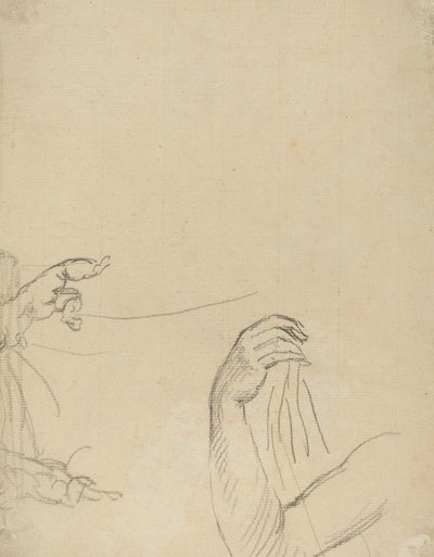 两只普提和一只垂下的手臂的研究 [背面] 作者 乔凡尼·巴蒂斯塔·西普里亚尼