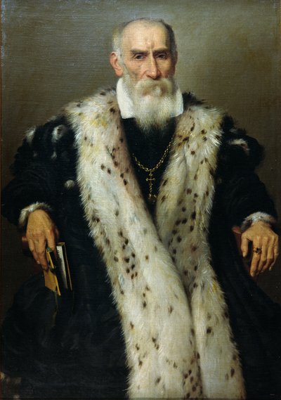 肖像的人，可能是吉安·杰罗拉莫·阿尔巴尼（Gian Gerolamo Albani）（b.1509），威尼斯共和国将军，身着辅助领土军官的制服 作者 乔瓦尼·巴蒂斯塔·莫罗尼
