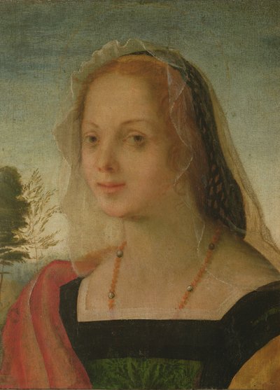 一个年轻女孩的肖像（面板上的蛋彩画） 作者 Giovanni Battista Rosso Fiorentino