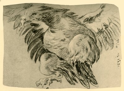 鹰（1751-1752），1928年 作者 乔凡尼·巴蒂斯塔·提埃波罗