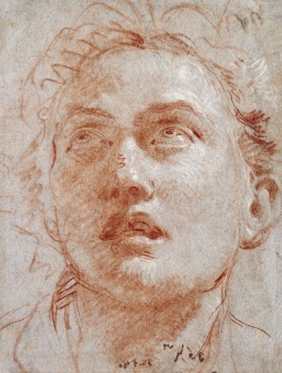 抬头一个男人的头， 作者 乔凡尼·巴蒂斯塔·提埃波罗
