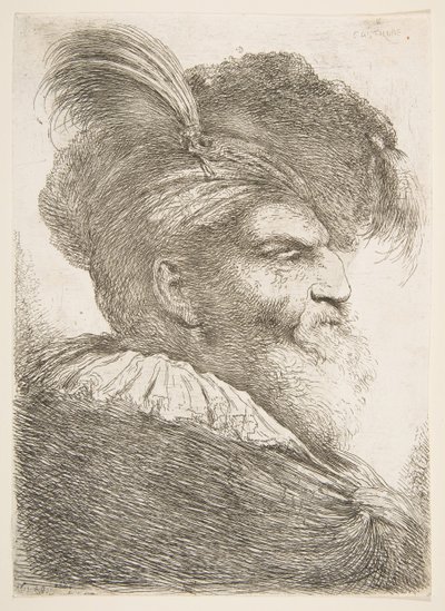 一位朝右的老人的头，出自一系列大型东方元首，ca。 1645-1650。 作者 乔凡尼·贝内代托·卡斯蒂廖内