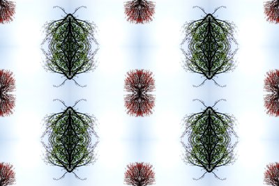 Unnatural 110 (digitally manipulated photo) 作者 Giovanni Cafagna