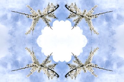 非自然115（数字处理过的照片 作者 乔凡尼·卡法尼亚（Giovanni Cafagna）