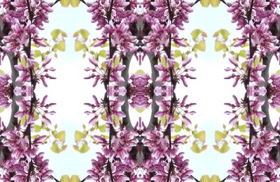Unnatural 160.3 (digitally manipulated photo) 作者 乔凡尼·卡法尼亚（Giovanni Cafagna）