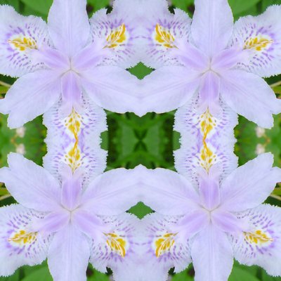 非自然的174（数字处理的照片）。 作者 乔凡尼·卡法尼亚（Giovanni Cafagna）