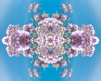 Unnatural 180 (digitally manipulated photo) 作者 乔凡尼·卡法尼亚（Giovanni Cafagna）