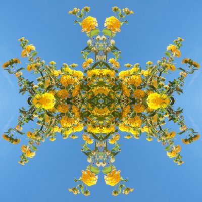 非自然193（数字处理过的照片 作者 乔凡尼·卡法尼亚（Giovanni Cafagna）