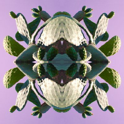 Unnatural 196 (digitally manipulated photo) 作者 乔凡尼·卡法尼亚（Giovanni Cafagna）