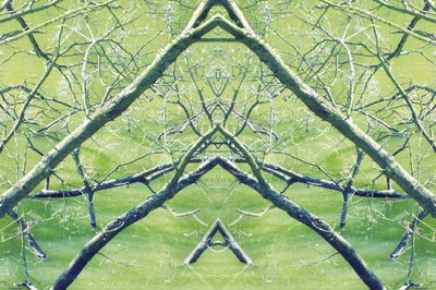 不自然30（数码处理的照片） 作者 乔凡尼·卡法尼亚（Giovanni Cafagna）