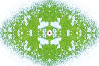 不自然的37（数码处理的照片） 作者 乔凡尼·卡法尼亚（Giovanni Cafagna）