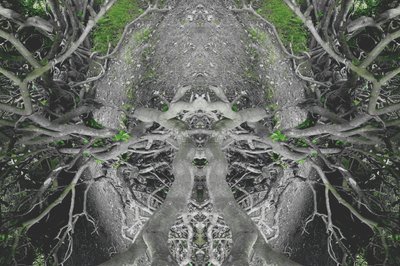 不自然的42（数码处理的照片） 作者 乔凡尼·卡法尼亚（Giovanni Cafagna）