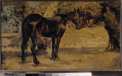 黑马（布面油画 作者 乔凡尼·法托里（Giovanni Fattori）
