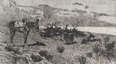 冬天海边的驴子和山羊，1884-1908。 作者 乔凡尼·法托里（Giovanni Fattori）