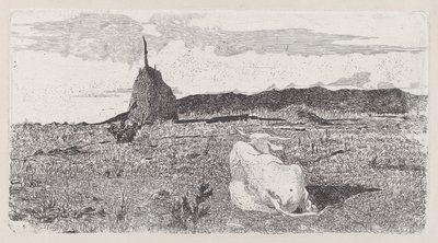 圣牛[Pio bove] 作者 乔凡尼·法托里（Giovanni Fattori）