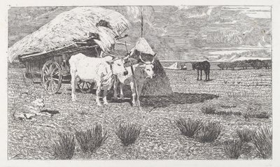 拴在车上的牛 (马雷马) 作者 乔凡尼·法托里（Giovanni Fattori）
