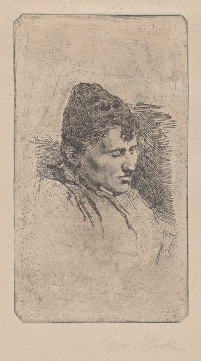 艺术家的第二任妻子的画像 作者 乔凡尼·法托里（Giovanni Fattori）
