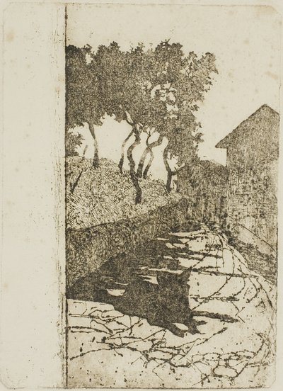 黑狗 作者 乔凡尼·法托里（Giovanni Fattori）