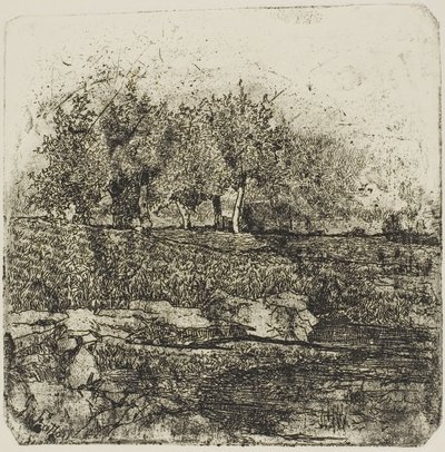 草地上的树木 作者 乔凡尼·法托里（Giovanni Fattori）