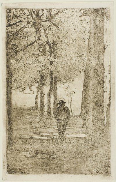 有图有真相的林中漫步 作者 乔凡尼·法托里（Giovanni Fattori）