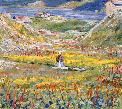 马洛亚的开花草地； Bluhende wiesen bei Maloja，约1912-1924年 作者 Giovanni Giacometti