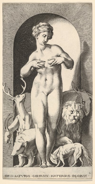 图2：Ops站在小生境中，双手叉着胸，向左看，……，1526年。 作者 乔凡尼·雅各布·卡拉格里奥