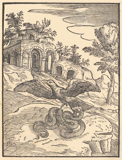 鸟和蛇，1570年。 作者 乔瓦尼·玛丽亚·威尔迪佐蒂