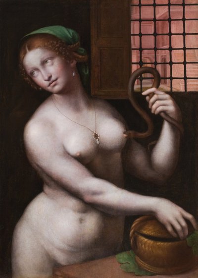 克利奥帕特拉，c.1515（面板油画） 作者 Giovanni Pietro Rizzoli Giampietrino