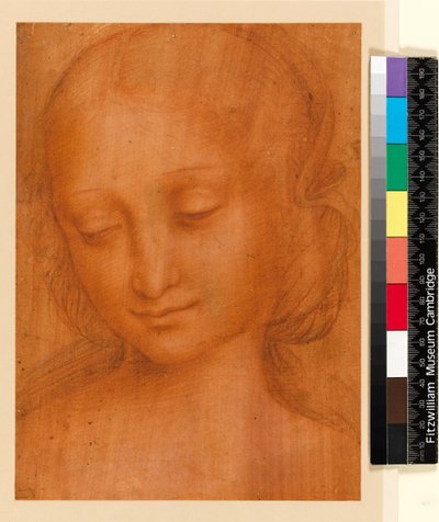 妇女头像（纸上粉笔画） 作者 Giovanni Pietro Rizzoli Giampietrino