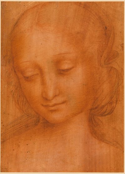 妇女头像 作者 Giovanni Pietro Rizzoli Giampietrino