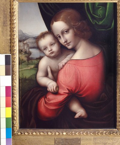 麦当娜和圣子（苹果圣母），c.1525（面板油画） 作者 Giovanni Pietro Rizzoli Giampietrino
