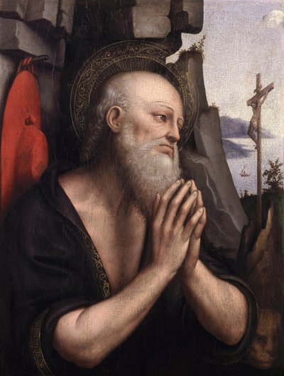 忏悔的圣杰罗姆（面板油画） 作者 Giovanni Pietro Rizzoli Giampietrino