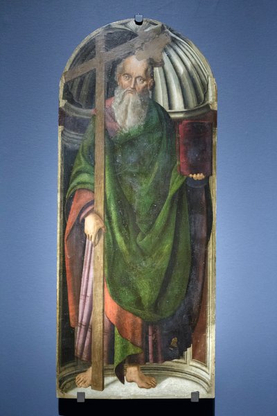 圣安德烈亚 作者 乔凡尼·桑蒂（Giovanni Santi）