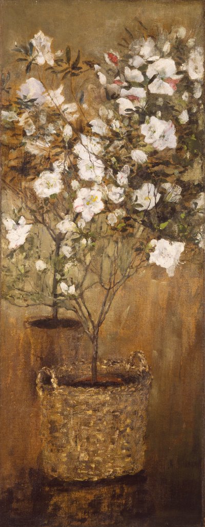一盆杜鹃花 作者 乔凡尼·塞甘蒂尼（Giovanni Segantini）