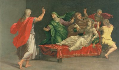 Drusiana的培养 作者 吉罗拉莫·马佐拉·贝多利