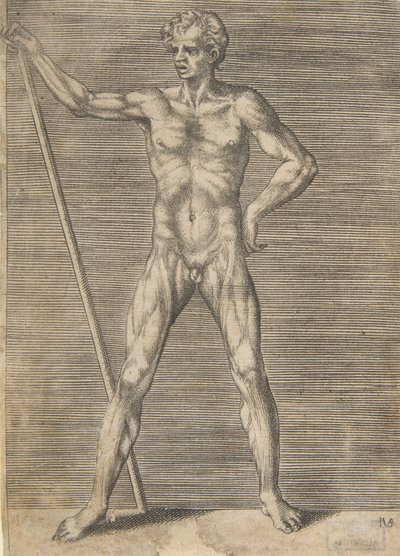 剥皮人从正面看，手持棍子，约1531-76年。 作者 朱利奥·博纳松