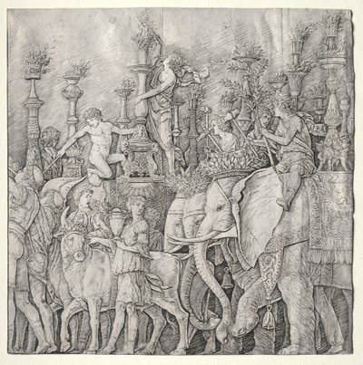 凯撒的胜利大象 作者 朱利奥·坎帕尼奥拉（Giulio Campagnola）