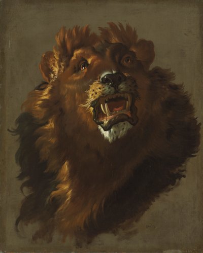 狮子 作者 朱塞佩·巴尔德里希（Giuseppe Baldrighi）