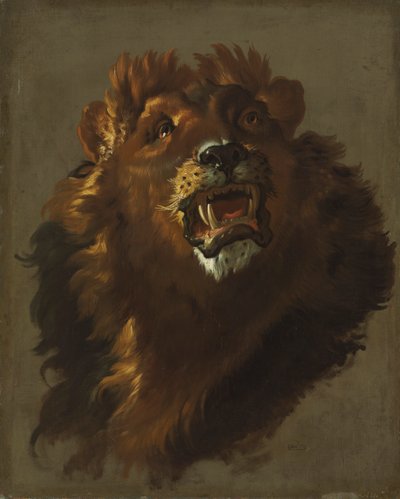 狮子，1750年代。 作者 朱塞佩·巴尔德里希（Giuseppe Baldrighi）