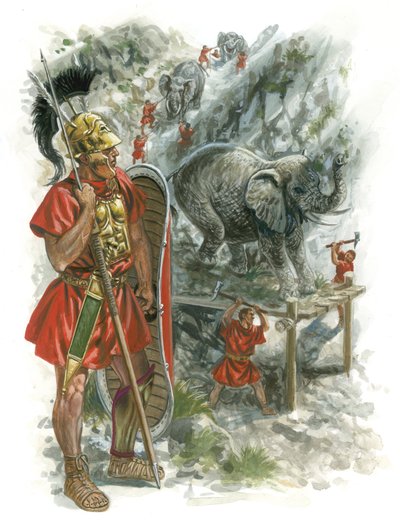 马其顿罗马战争 作者 朱塞佩·拉瓦（Giuseppe Rava）