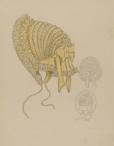 帽子 作者 格拉迪斯·库克