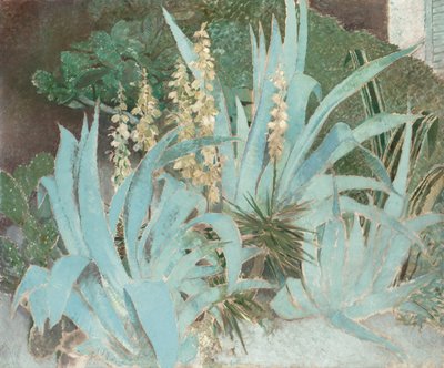 仙人掌（布面油画） 作者 格林·沃伦·菲尔波特