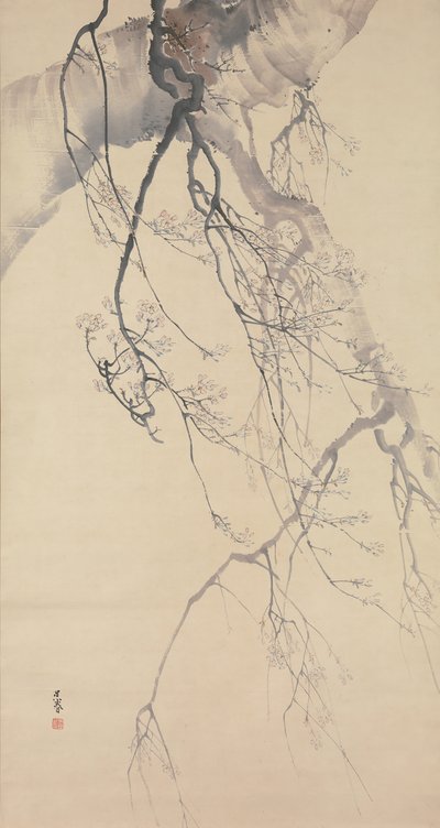 樱花，18世纪。 作者 高顺