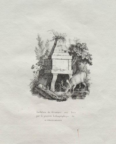 Receuil平版印刷品：模仿木版画的喷泉c。 1816。 作者 戈特弗里德（Gottfried）或戈德弗罗伊（Godefroy Engelmann）