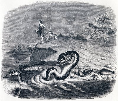 蛇的前面和尾巴（La tete et la queue du serpent） - 拉封丹的寓言故事 作者 格兰维尔