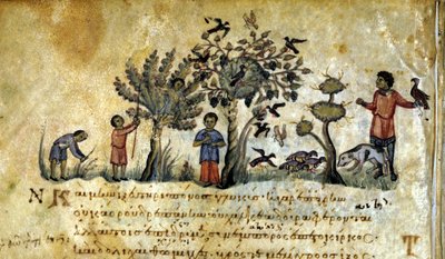 与猎鹰一起狩猎并捕捉鸟巢。 Oppianus De Venatione 13 世纪的希腊手稿。 作者 希腊学派