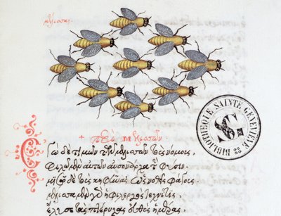 3460 Bees女士，来自Manuel Philes的一个兽人，1566年 作者 希腊学派