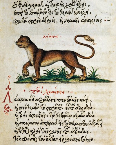 狮子论》，测试和缩影，摘自De animalium natura et proprietate libellus，作者Aelianus（公元2-3世纪）。 作者 希腊学派