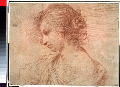 少女肖像。(年轻女性的乳房肖像） 作者 格尔西诺 (1591-1666)