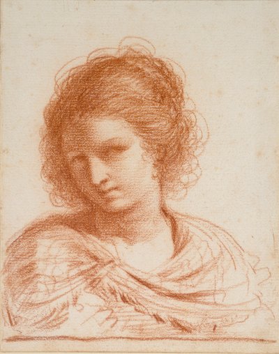 年轻女子的头像，1550-1666年 作者 格尔奇诺